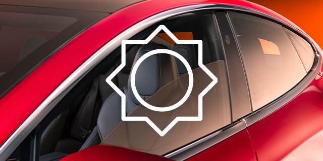 car window tint
