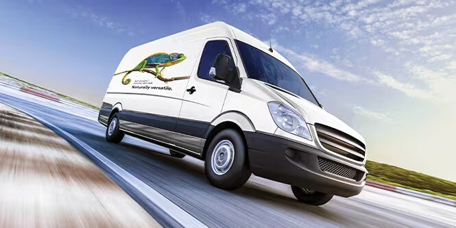 A van wrapped in white, featuring a printed image of an iguana
