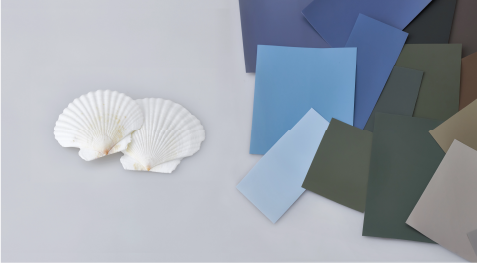 Colored architectural wall coverings next to scallop shells
