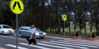 A person walking a dog on a crosswalk
