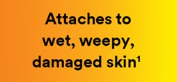 Attaches to wet, weepy, damaged skin