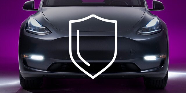 paint protection film
