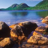 Shoreline