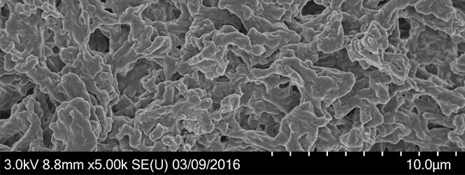 A scanning electron microscopy showing the membrane
