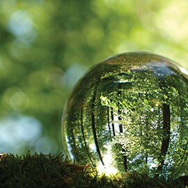 cleaning and maintenance to support sustainable practice