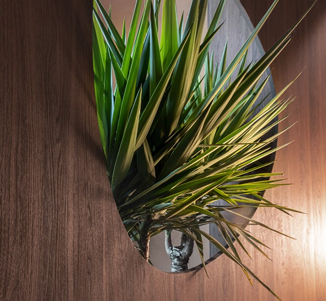 3M DINOC dark wood wall finish