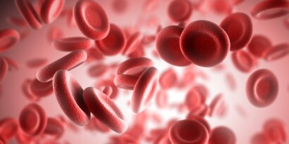 3M has been servicing blood plasma fractionation for many years: Image of RBCs
