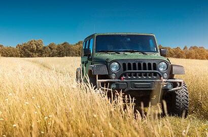 far back shot of 3M shadow military green