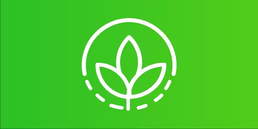 Green leaf icon
