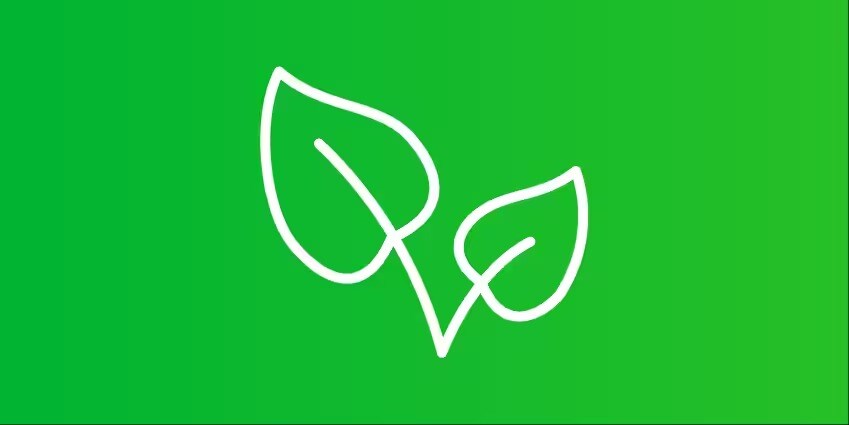 Green leaf icon
