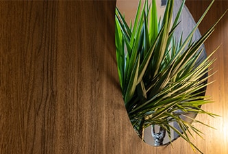 sustainable architectural design films
