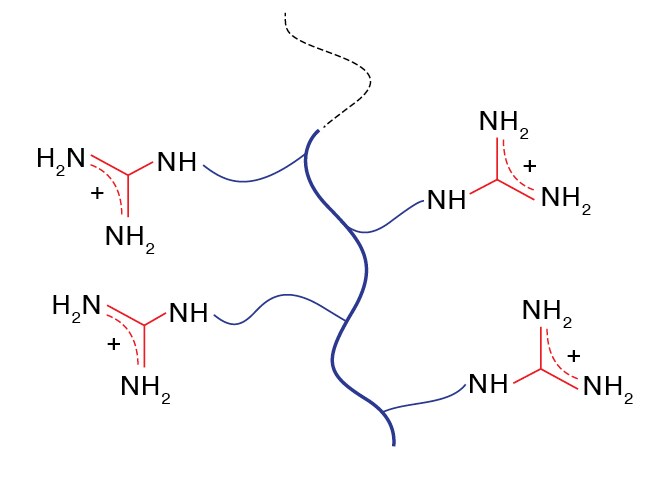 Molecular structure of guanidinium ligand

